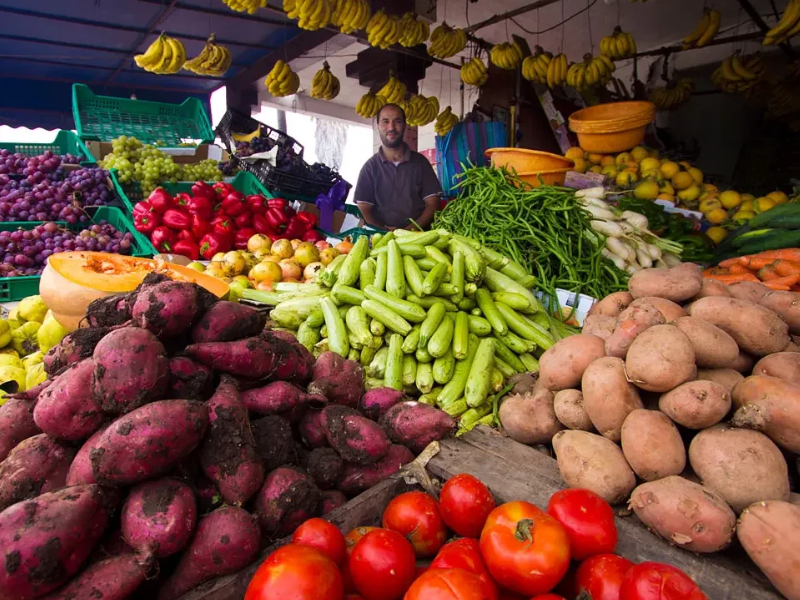 تقلبات الطقس ترفع أسعار الخضراوات في المغرب: الأمطار تعرقل الحصاد والأسواق تتأثر