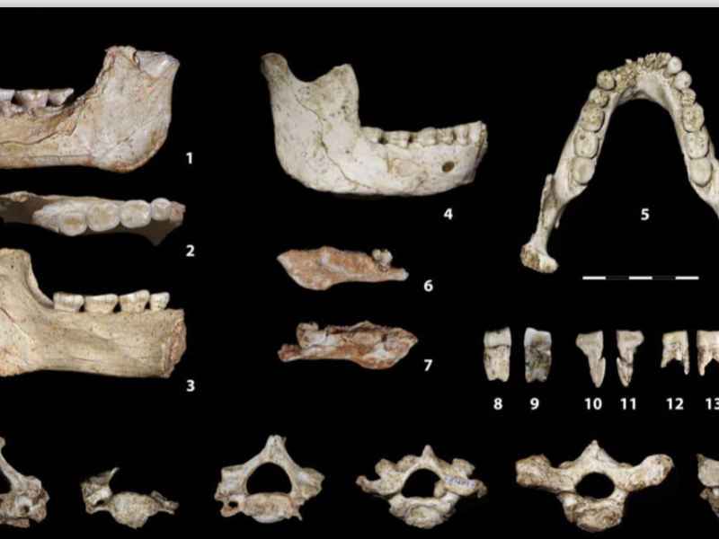اكتشاف بقايا بشرية قديمة بالدار البيضاء يسلط الضوء على مرحلة حاسمة في تطور البشرية