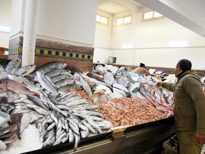 أزمة الأسماك في سبتة المحتلة: ارتفاع الأسعار وتعقيدات الاستيراد تهدد القطاع
