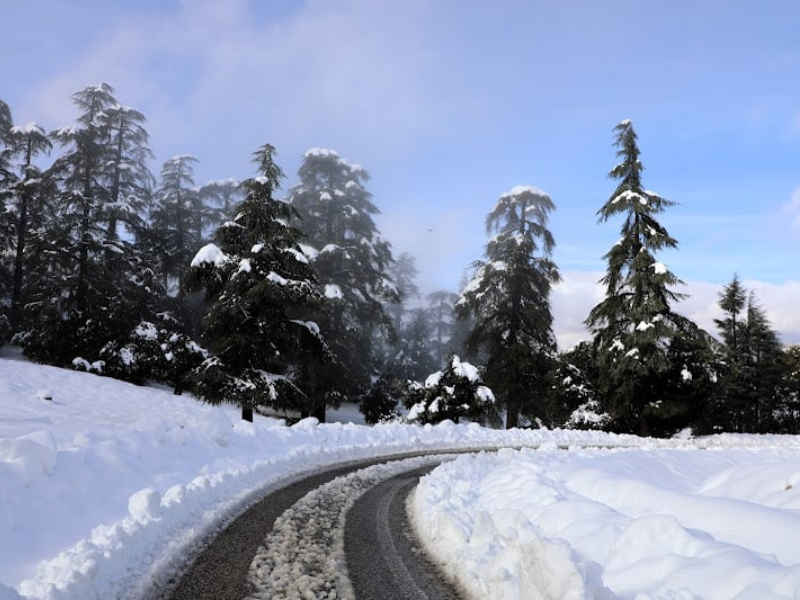 عودة الثلوج إلى مرتفعات خنيفرة تزين غابات الأرز وتنعش الفرشة المائية