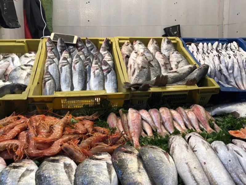 الجامعة المغربية لحقوق المستهلك : الشفافية والرقابة البيولوجية مفتاح استقرار سوق الأسماك بالمغرب