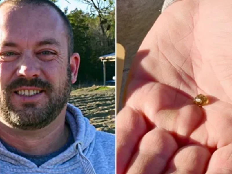 طفل أمريكي يقود عائلته لاكتشاف ماسة نادرة بفضل “سيري” في متنزه أركنساس