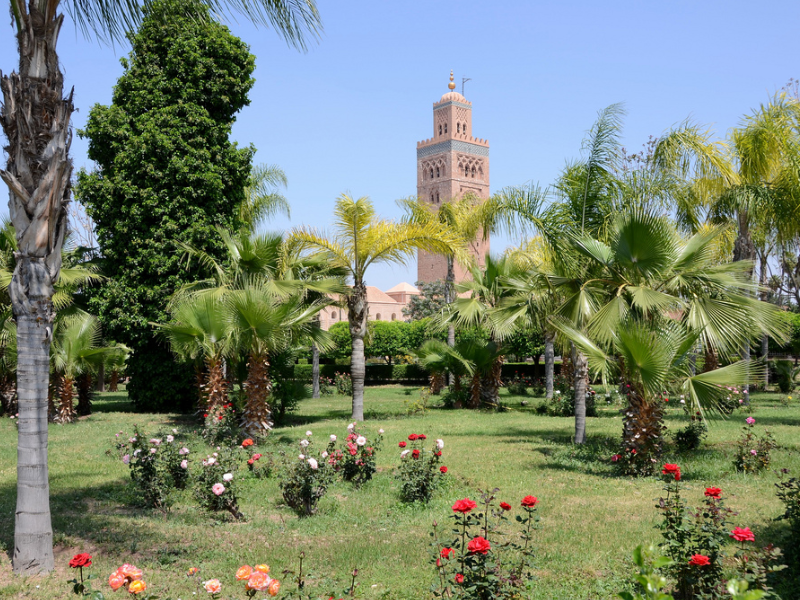 لفتيت يكشف استراتيجية متكاملة لحماية الحدائق العمومية… مراكش نموذجًا