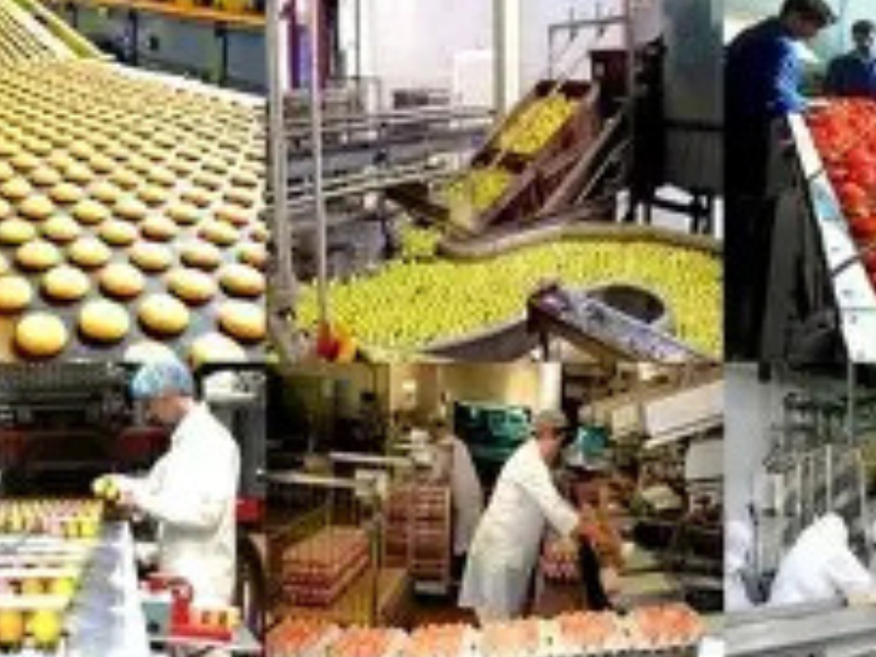 ​الاستثمار الإيطالي في المغرب: فرص صناعية وطاقة وتكنولوجيا