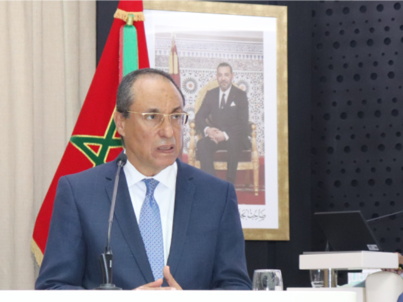 عمارة : إدماج العمل غير المأجور سيرفع الناتج الداخلي للمغرب بحوالي 19٪