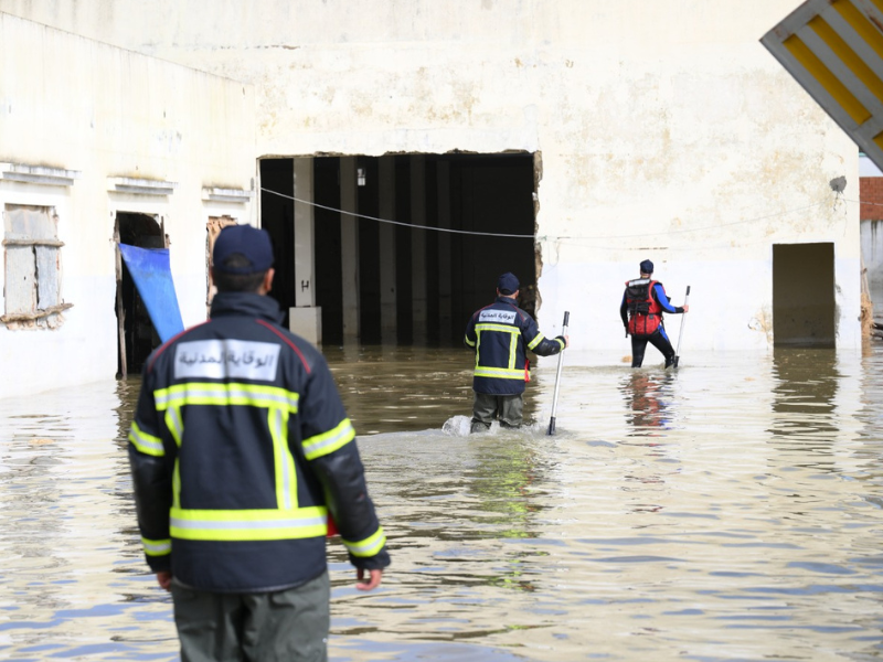 طقس قاسٍ يضرب عدداً من مناطق المملكة: رياح عاصفية وثلوج كثيفة وأمطار رعدية في نشرة إنذارية برتقالية