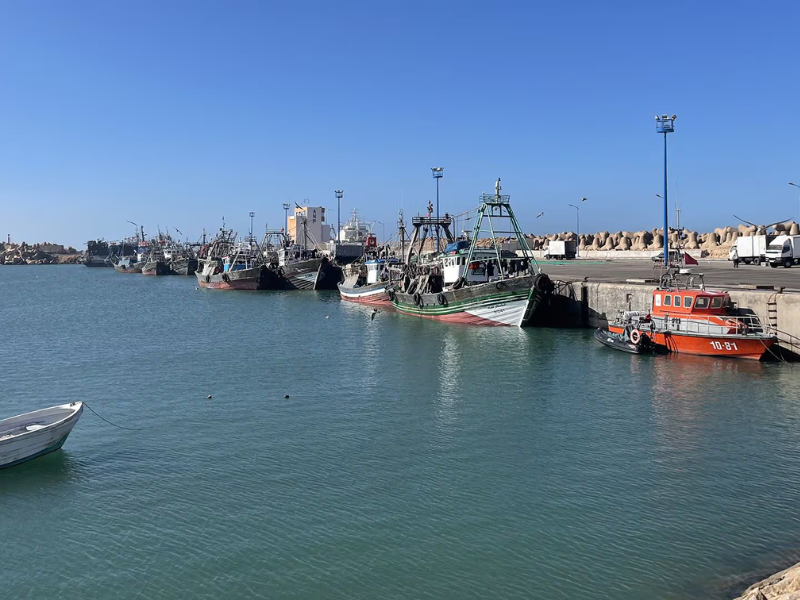 بأكثر من 381 مليون درهم… نشاط الصيد البحري بطرفاية يسجل انتعاشًا لافتًا