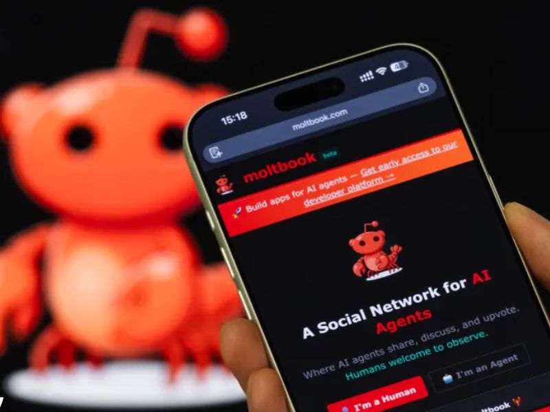 Moltbook… حين يصبح الذكاء الاصطناعي هو المستخدم وصانع المحتوى