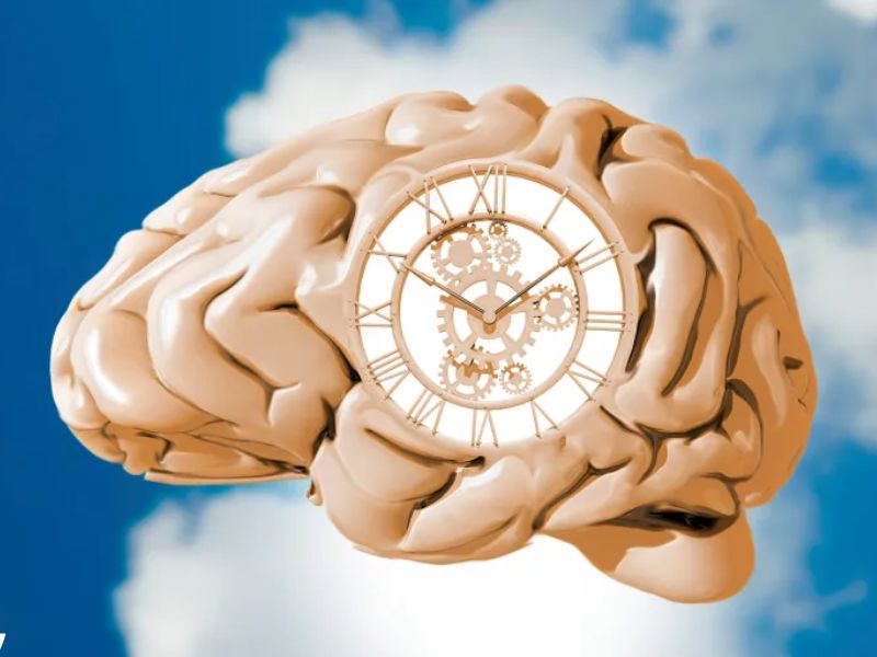 ساعتك البيولوجية… المفتاح الخفي لصحتك اليومية