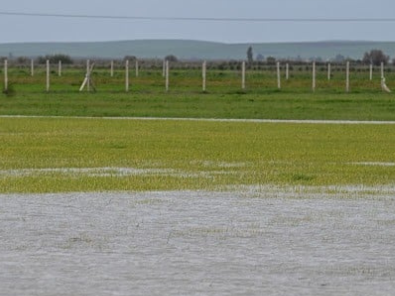 فيضانات شمال وغرب المغرب: تقديرات أولية تشير إلى تضرر 20 إلى 25% من الأراضي الفلاحية