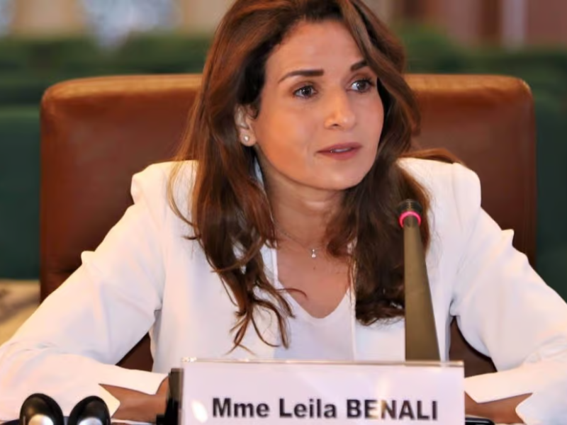 المغرب يشارك في الاجتماع الوزاري 2026 للوكالة الدولية للطاقة بباريس