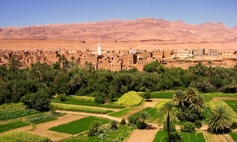 ​الحكومة تعتمد مرسومين لاستكمال إصلاح أراضي الجماعات السلالية وتسريع عملية التمليك