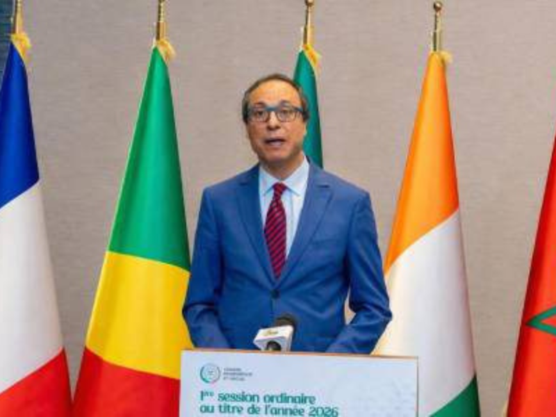 تعزيز دور المجلس الاقتصادي والاجتماعي والبيئي في إفريقيا: دعوة لدبلوماسية المجتمع المدني والتنمية التشاركية