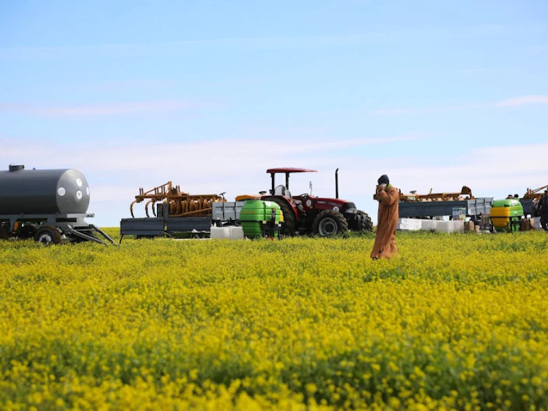 الشراكة بين الدولة والقطاع الخاص لتسيير الأراضي الفلاحية تحقق استثمارات مهمة وتدعم التنمية الزراعية