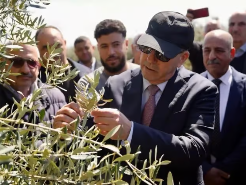 رياح قوية تضرب اشتوكة آيت باها.. وزير الفلاحة يقف على حجم الأضرار ويؤكد دعم المتضررين