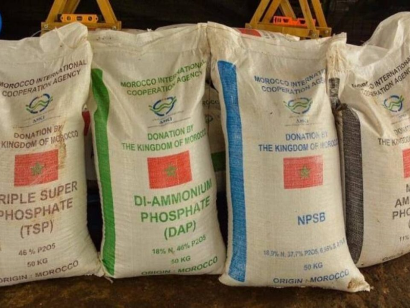 الهند تؤمّن إمدادات الأسمدة لموسم 2025-2026 والمغرب ضمن أبرز الموردين