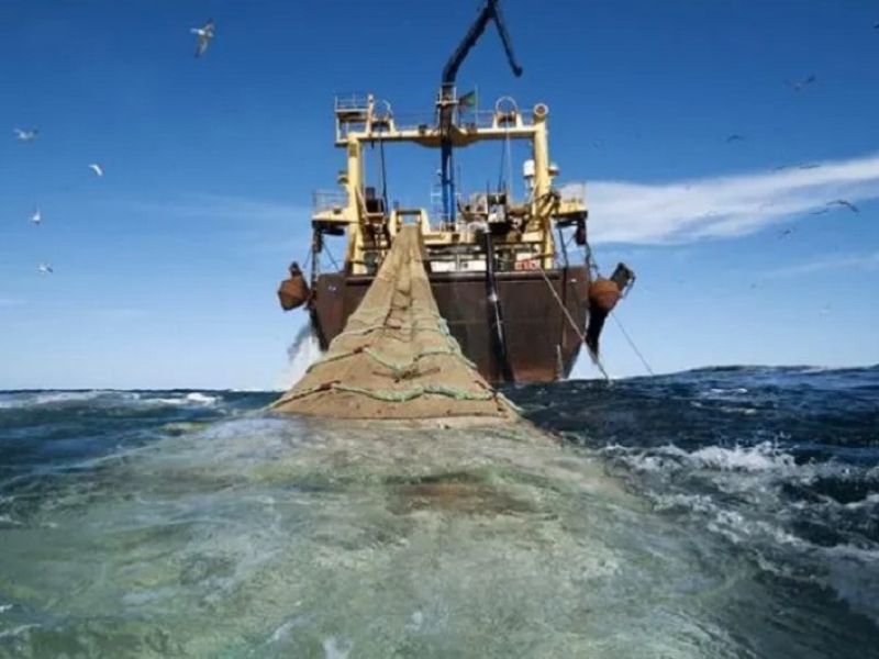 تراجع مفرغات الصيد بالسواحل المتوسطية للمغرب بـ17%