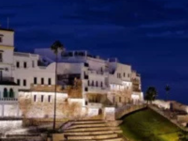 اقتصاد طنجة: تاريخ من الانفتاح التجاري والتحولات الاقتصادية