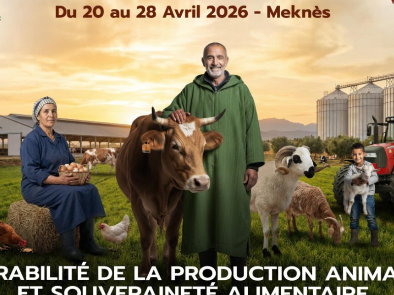 مكناس تحتضن الدورة الثامنة عشرة للمعرض الدولي للفلاحة : نحو استدامة الإنتاج الحيواني والسيادة الغذائية