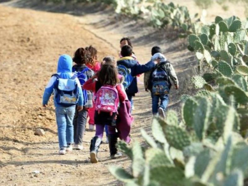 المجلس الاقتصادي والبيئي يدعو إلى مخطط وطني شامل للنقل القروي بحلول 2035