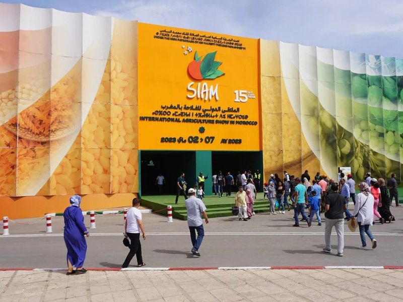 مكناس تحتضن أكبر موعد فلاحي بإفريقيا في أبريل 2026