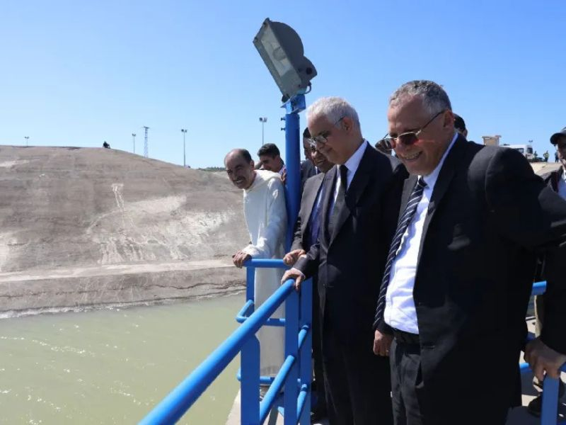 في العرائش، عندما يزعج التضامن "محترفي الشك"