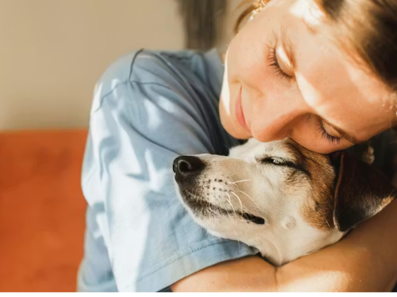 العلاقة بين الإنسان والحيوان وتأثيرها على الصحة النفسية