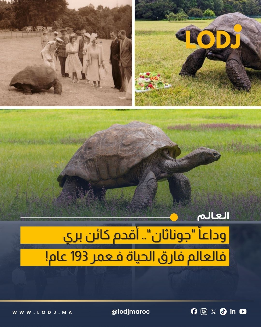 وفاة السلحفاة العملاقة جوناثان عن عمر ناهز 193 سنة في سانت هيلينا