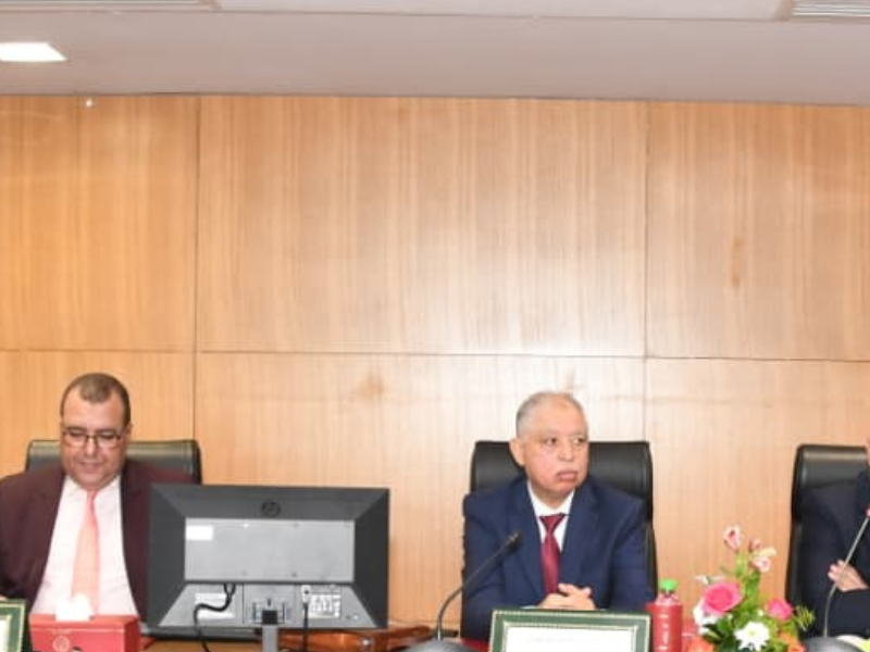 المحاكم التجارية في صلب حماية المقاولة وتعزيز الأمن الاقتصادي