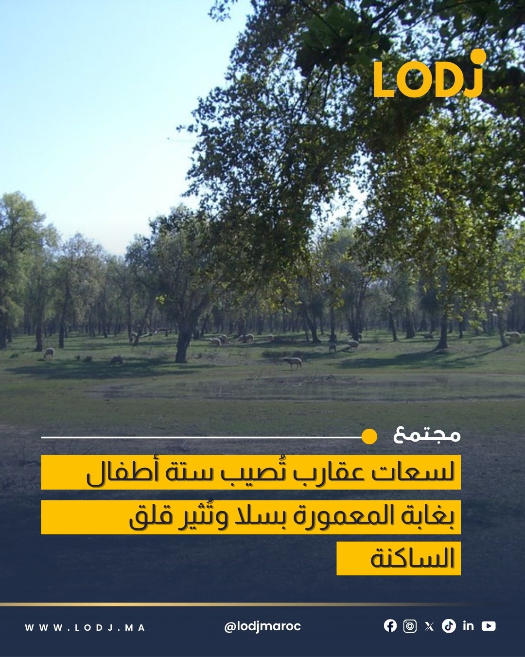 استنفار بسلا بعد تسجيل حالات لسعات عقارب في غابة المعمورة