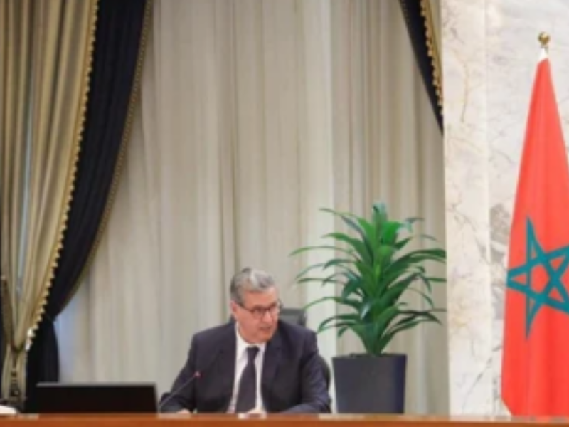 المغرب ومصر يعززان الشراكة الاستراتيجية عبر اللجنة المشتركة للتنسيق والمتابعة