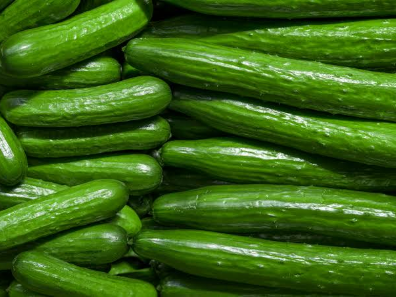 المغرب يسيطر على 72% من واردات إسبانيا من الخيار سنة 2025