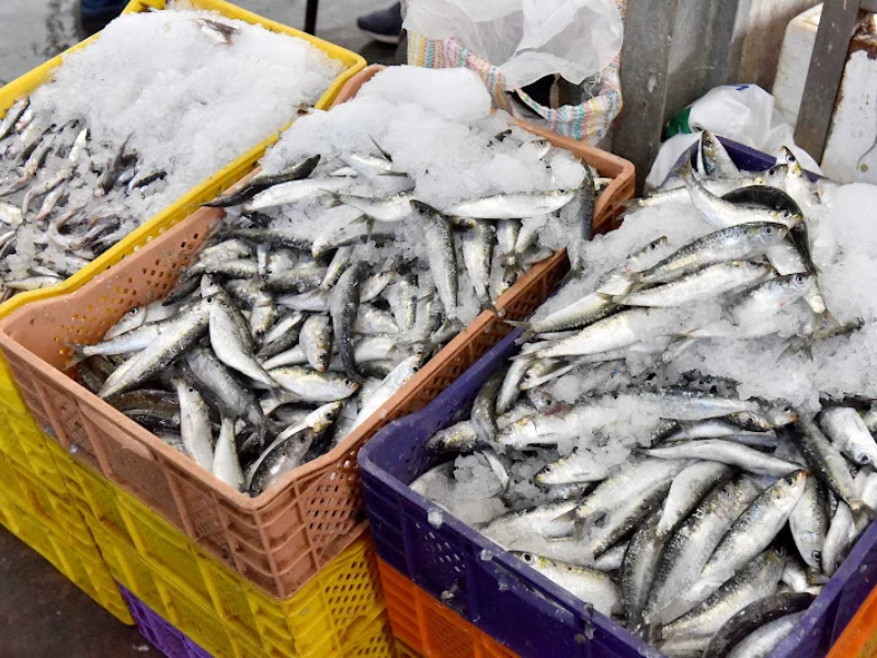 تنبيه أوروبي بعد ارتفاع  مادة الهيستامين في سردين مغربي مجمد