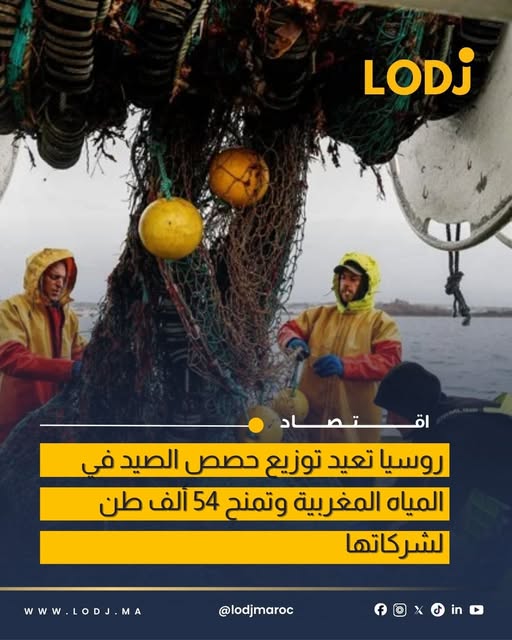 تخصيص 54 ألف طن من الأسماك السطحية لشركات روسية في المغرب