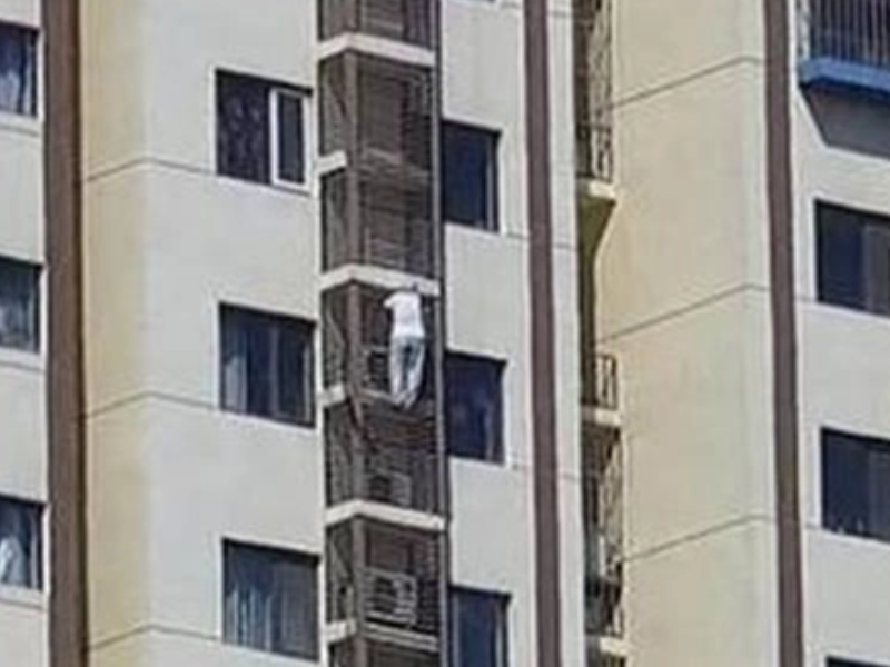 “الجدة الخارقة” تدهش العالم بمغامرة جريئة من الطابق 27 في بكين