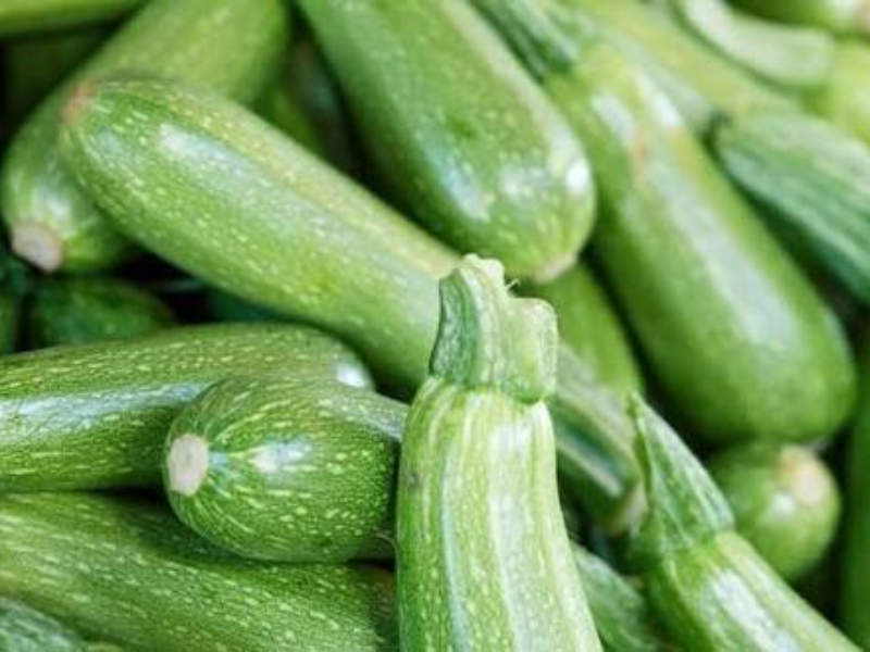 المغرب ثاني أكبر مزود للكوسا للاتحاد الأوروبي بـ31.2 مليون كيلوغرام في 2025