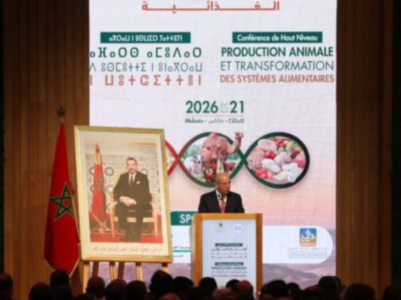 البواري من مكناس : إنتاج الحبوب يقترب من 90 مليون قنطار في ظل موسم  فلاحي واعد