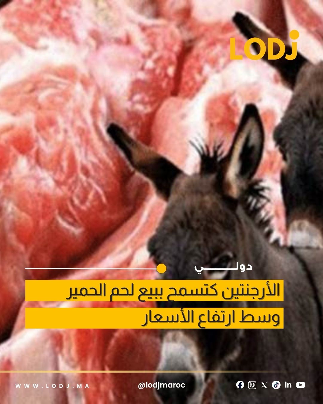 تقارير: جدل حول السماح ببيع لحم الحمير في الأرجنتين