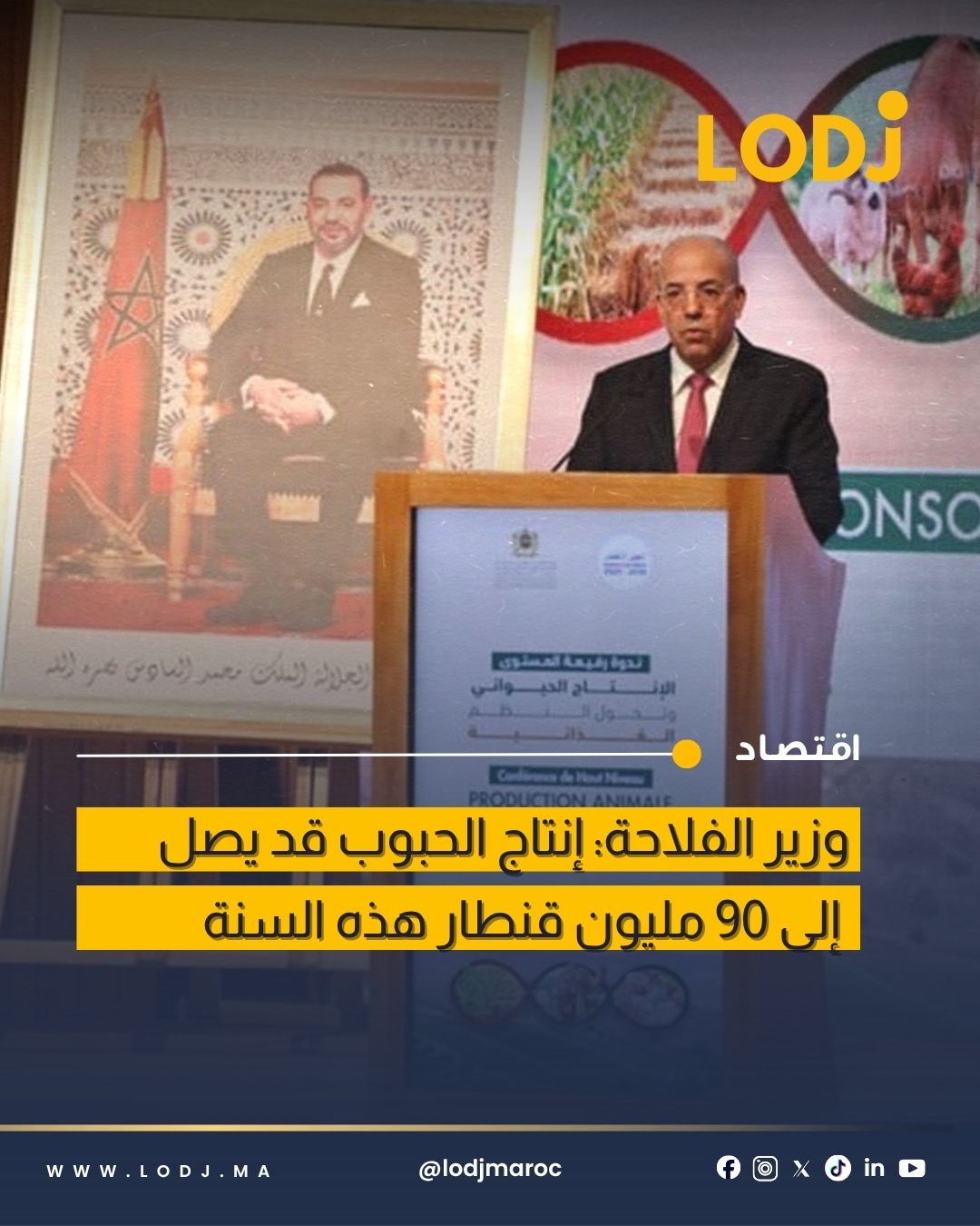 موسم فلاحي واعد بالمغرب بعد تحسن التساقطات المطرية