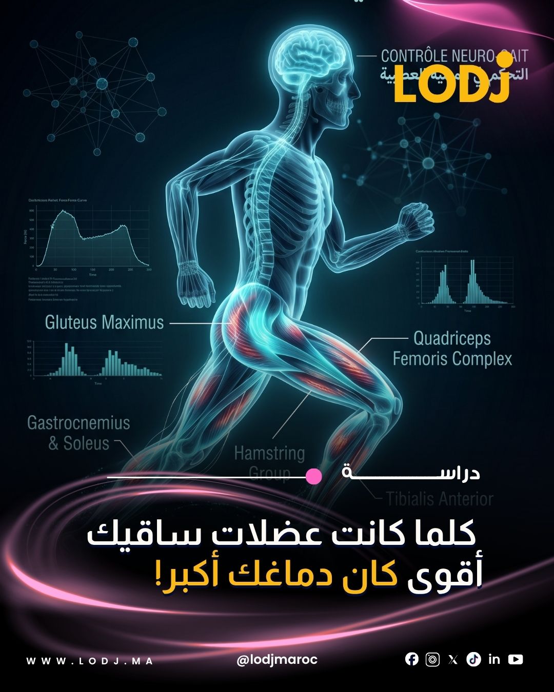 العلاقة بين النشاط البدني وصحة الدماغ: حقائق علمية