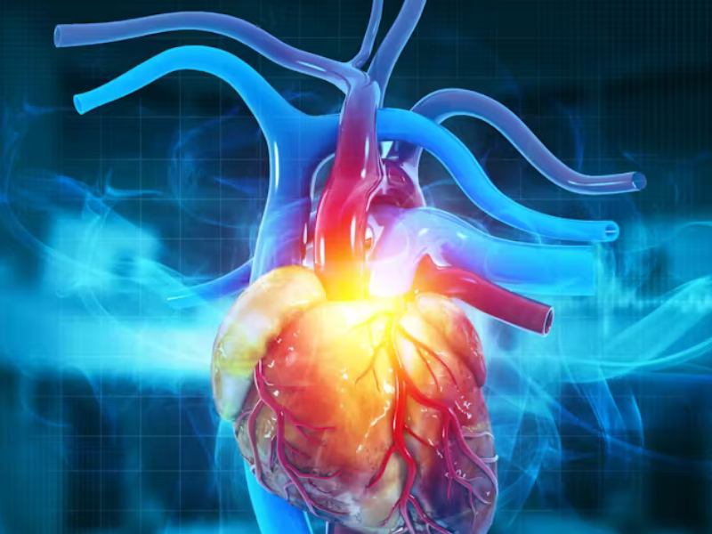 لماذا يُعدّ سرطان القلب نادراً؟ دراسة علمية تكشف دور نبضات القلب في الحماية من الأورام