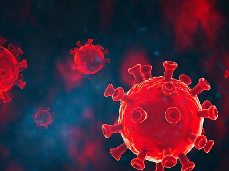 اكتشاف فيروس كورونا جديد لدى الخفافيش: هل يجب القلق من جائحة جديدة؟