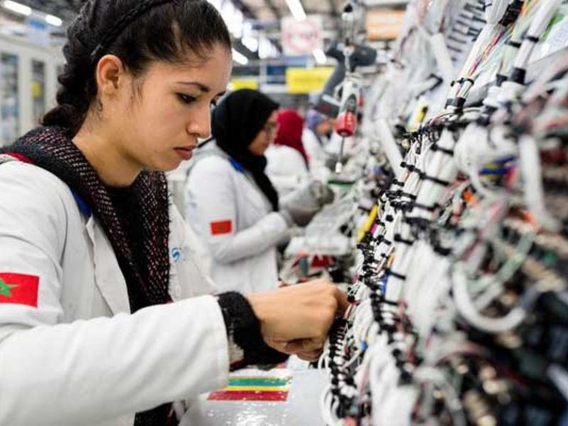 البنك الدولي : المغرب قادر على خلق 1.7 مليون وظيفة وزيادة نموه بـ20%