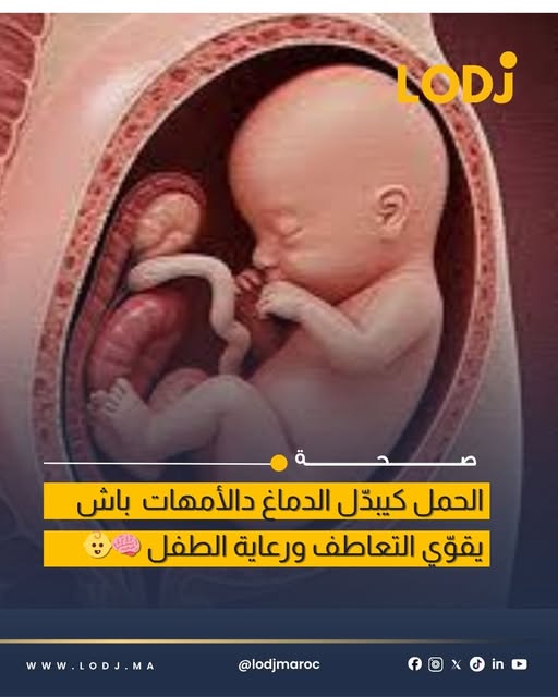 الحمل مرتبط بتعديلات في مناطق التعاطف والفهم الاجتماعي