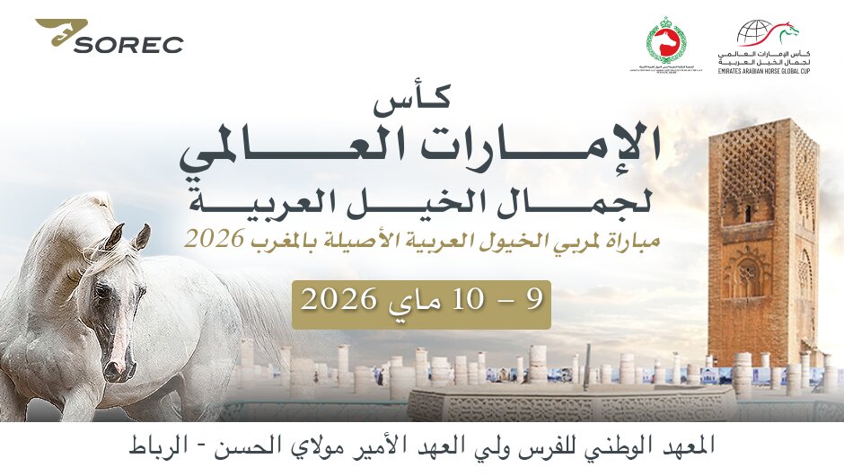 ​الرباط تحتفي بتميّز تربية الخيل العربية الأصيلة في «معرض مربي الخيل بالمغرب - كأس الإمارات العالمي لجمال الخيل العربية 2026»