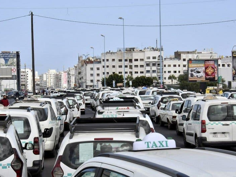 وزارة النقل تعلن صرف دفعة إضافية من الدعم لفائدة مهنيي القطاع ابتداء من 9 يونيو