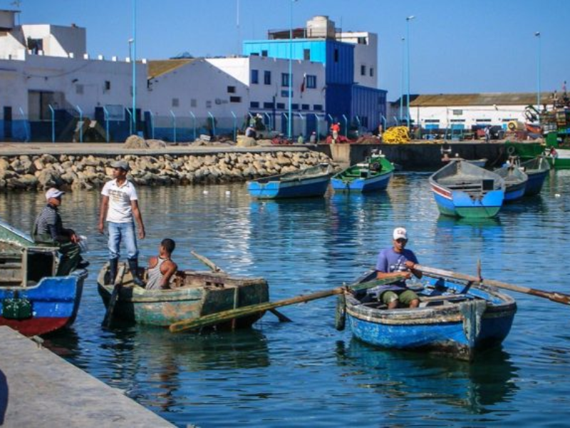تراجع كميات الصيد الساحلي بميناء المضيق بنسبة 30%  نهاية ماي 2026