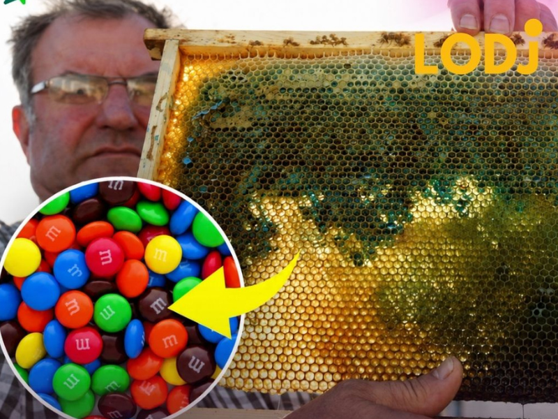 العسل الأزرق والأخضر.. عندما غيّرت حلوى M&M's لون إنتاج النحل