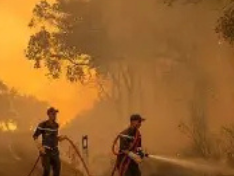 ​تسجيل 310 حرائق غابوية بالمغرب منذ بداية السنة يسلط الضوء على تحديات الوقاية
