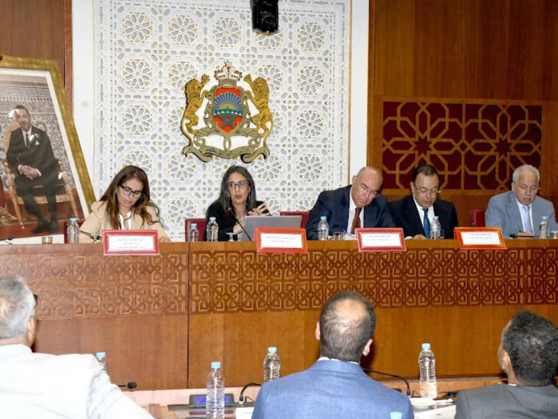 ​جينيسيس تقترب من دخول عالم شاحنات البيك أب الفاخرة بمشروع جديد يعيد رسم ملامح المنافسة